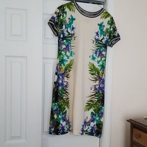 GABBY Skye  NWT DRESS